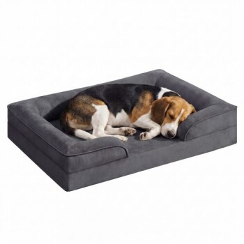Beagle zusammengerollt und schlafend auf einem grauen, plüschigen, rechteckigen Hundebett mit erhöhten Rändern