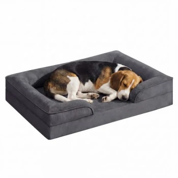 Beagle zusammengerollt und schlafend auf einem grauen, plüschigen, rechteckigen Hundebett mit erhöhten Rändern