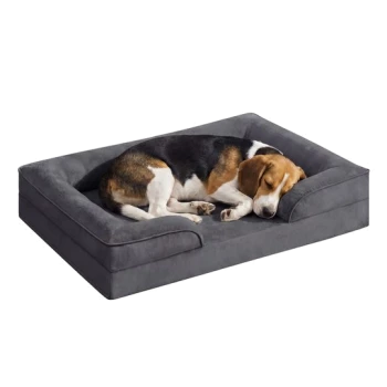 Beagle zusammengerollt und schlafend auf einem grauen, plüschigen, rechteckigen Hundebett mit erhöhten Rändern