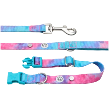 Bunte Hundeleine mit einem Farbverlauf von Pink und Blau, mit einem Metallclip und einer verstellbaren Schnalle.