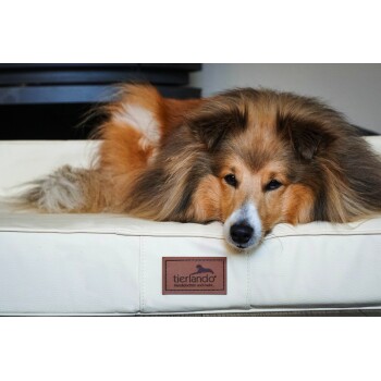 Ein flauschiger Hund ruht auf einem weißen Hundebett mit einem braunen Etikett, das 'Hundebetten und mehr...' anzeigt, was auf ein Produkt aus einem Tiergeschäft hinweist.