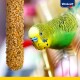 Budgerigar Crackers 4x2 pcs Apricot & Fig