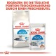 Royal Canin Haustierfutterverpackung mit einem Beutel "Home Life Indoor 7+" Trockenfutter für Katzen und einem Beutel "Indoor Sterilised 7+" Nassfutter.