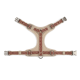 Eine Nahaufnahme der Vorderbeine eines Hundes, der ein stilvolles beiges Geschirr mit einem roten geometrischen Muster trägt.
