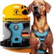 Schwarzes Hundegeschirr, das auf einer Verpackung präsentiert wird, mit dem Text 'Tierhood HUNDEGESCHIRR' und einer deutschen Flagge. Ein Hund trägt das Geschirr.