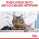 Puszysty kot tabby na stole weterynaryjnym, z ręką weterynarza na jego plecach. Tekst powyżej zachęca do regularnych wizyt u weterynarza.