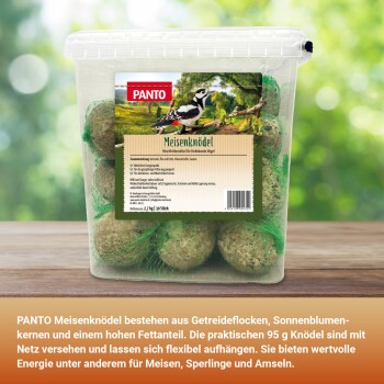 Ein buntes Vogelhaus, das von einem Baumast hängt, mit einem kleinen orangefarbenen Vogel, der am Rand sitzt, und einem grünen, netzartigen Vogelhäuschen in der Nähe.