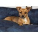 Scruffs & Tramps Hundebett blau M
