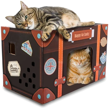 Getigerte Katze obenauf und rote Katze innen in einem reisemotivierten Papp-Katzenhaus; Aufkleber: 'Happy Go Lucky' und 'Japan'