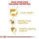 Infographic promoting tailored nutrition for dogs, highlighting benefits: coat health, satisfying fussy appetites, and healthy ageing support.