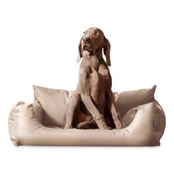 NEMO Hundebett Hundesofa S M L Hundekorb Katzenbett 65 80 100cm beige 80 cm, 22 cm, 60 cm