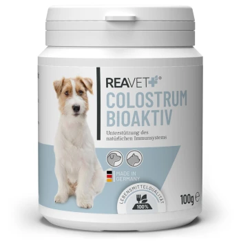 Behälter von REAVET Colostrum Bioaktiv für Hunde, mit einem Hundebild, Text auf Deutsch über Immununterstützung und dem Etikett "Made in Germany."