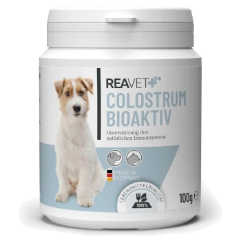 Behälter von REAVET Colostrum Bioaktiv für Hunde, mit einem Hundebild, Text auf Deutsch über Immununterstützung und dem Etikett "Made in Germany."