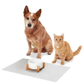 Ein brauner Hund und eine orangefarbene Tabby-Katze sitzen neben einer weißen Futterschüssel auf einer grauen Matte und zeigen eine freundliche Haustierumgebung.