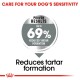 Image promoting a dog dental product, stating "Proven Results: Up to 69% Reduced Tartar Formation" with a focus on tartar reduction.