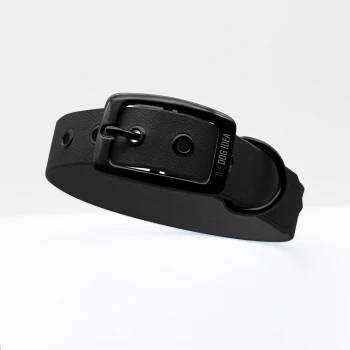 Biothane Halsband Schwarz Schwarz L Schwarzes Hundehalsband mit einer strukturierten Oberfläche und einer stabilen Schnalle, mit dem eingravierten Text "THE DOG IDEA" auf der Schnalle.