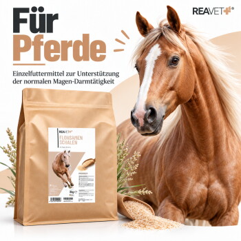 Nahaufnahme eines weidenden Pferdes auf einer sonnigen Wiese, mit Fütterungstipps: 10g/100kg für Pferde, 3g/10kg für Hunde; 30 Minuten einweichen vor dem Mischen.