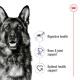 Image of a dog with text highlighting benefits: "Digestive health," "Bone & joint support," and "Optimal health support."