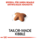 Sternförmiges Futter, das speziell für Beagles entwickelt wurde, mit dem Text "MADE-TO-MEASURE KIBBLE" deutlich darüber.