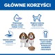Dwa szczenięta beagla i sucha karma pod nagłówkiem „GŁÓWNE KORZYŚCI”; ikony i polski tekst o mózgu, mięśniach, trawieniu i zębach.