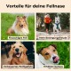 Vier Hunde mit Etiketten: "Flauschiges Fell," "Mehr Freude an Bewegung," "Verbessertes Wohlbefinden," und "Erhöhte Freude."