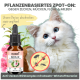 Bild einer süßen weißen Katze neben einer Flasche pflanzenbasierter Floh- und Zeckenprävention, beschriftet mit "ZPOT-ON", mit einer Grafik, die durchgestrichene Schädlinge zeigt.