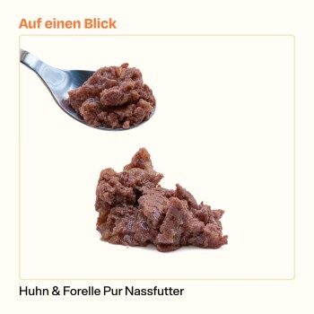 Nassfutter für Katzen auf einem Löffel und auf einer Oberfläche, beschriftet mit "Huhn & Forelle Pur Nassfutter" mit dem Satz "Auf einen Blick" darüber.