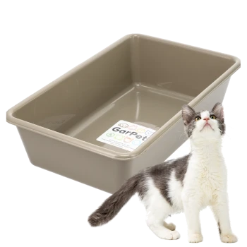 Beige rechteckige Katzentoilette mit „GarPet“-Aufkleber, weiß-graues Kätzchen steht und schaut nach oben.