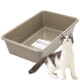 Beige rechteckige Katzentoilette mit „GarPet“-Aufkleber, weiß-graues Kätzchen steht und schaut nach oben.