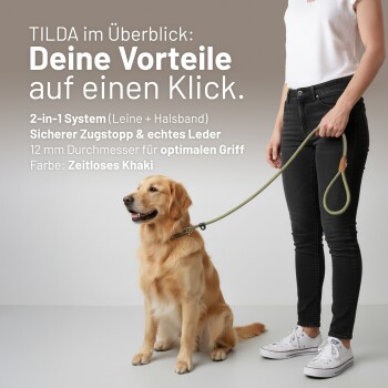 Golden Retriever sitzt, während eine Person eine khakifarbene TILDA 2‑in‑1-Leine hält; sichtbarer Text: „TILDA im Überblick“