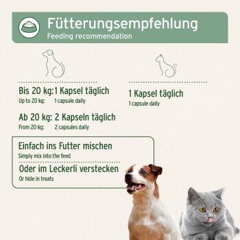 Fütterungsempfehlungstabelle für Haustiere, die die tägliche Kapseldosierung für Hunde und Katzen detailliert, mit Bildern eines Hundes und einer Katze.