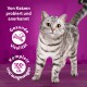 Eine silberne getigerte Katze auf einer Holzoberfläche mit einem lila Hintergrund und Text: "Von Katzen probiert," "Gesunde Vitalität," "Komplett 100%."