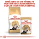 Persian Adult 12x85g