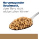 Löffel mit fein zerkleinertem braunem Nassfutter auf einem Metalllöffel; deutscher Text 'Hervorragender Geschmack, dem Tiere nicht widerstehen können'