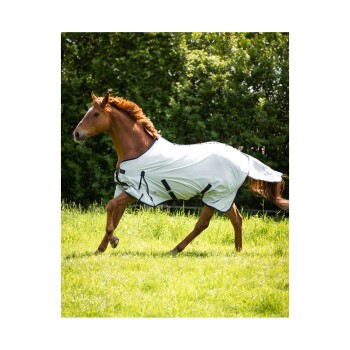 Ein kastanienbraunes Pferd, das mit einer hellgrauen Decke durch ein üppiges grünes Feld läuft und seine lebendige Mähne und athletische Statur zeigt.