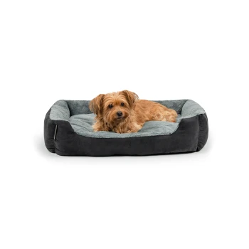 Ein kleiner brauner Hund liegt bequem auf einem plüschigen, grauen und schwarzen Haustierbett und schaut in die Kamera.