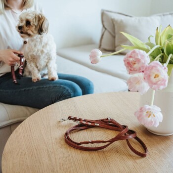 Eine Frau sitzt auf einem Sofa und hält einen kleinen Hund, während eine braune Hundeleine auf einem Holztisch neben ihr liegt. Eine Vase mit rosa Tulpen steht ebenfalls auf dem Tisch.