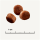 Three round, brown pet food kibble pieces on a light background, with a ruler indicating 1 cm for size reference.