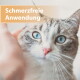 Nahaufnahme einer blauäugigen Katze, die von einer Hand gestreichelt wird; eingeblendeter deutscher Text: 'Schmerzfreie Anwendung'.