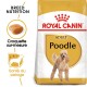Caniche Adulte Croquettes Chien 3 kg