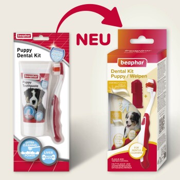 Beaphar Welpen-Zahnpflegeset mit Zahnpasta und Zahnbürste, neue Verpackung, Kamillengeschmack, sanfte Reinigung für Welpen.