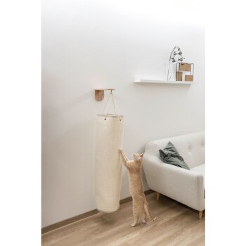 Eine verspielte orange Katze streckt sich nach einem hängenden Kratzbaum in einem modernen Wohnzimmer mit einem hellen Sofa und einem dekorativen Regal.