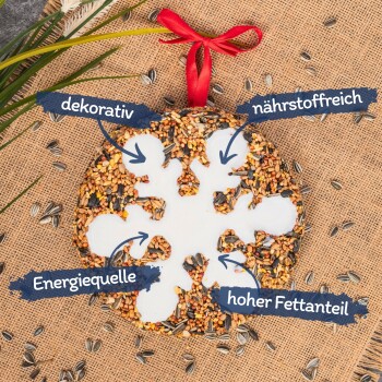 Ein Vogelfutterspender in Form einer Schneeflocke, der von einem Baumzweig hängt, mit einem blauen runden Etikett, das "Ganzjahresfütterung" liest.