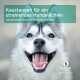 Eine Nahaufnahme eines lächelnden Huskys mit leuchtenden Augen, mit dem Text "Kaustangen für ein strahlendes Hundelächeln" und "NATÜRLICHE ZUTATEN."
