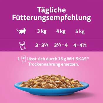 Whiskas 40 megapack top