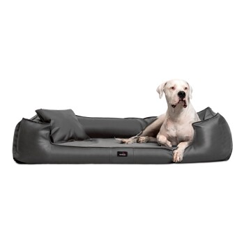 ® GOOFY Kunstleder - Orthopädisches Hundebett >>inkl. Matratzenschoner<< schwarz/ graphit 1,6 m, 25 cm, 1,1 m