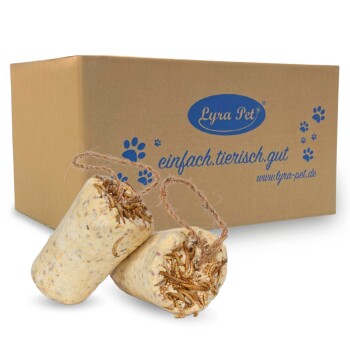 Zwei zylindrische Haustierleckerlis mit Insekten darin, vor einer Pappschachtel von "Lyra Pet" mit der Aufschrift "einfach.tierisch.gut."