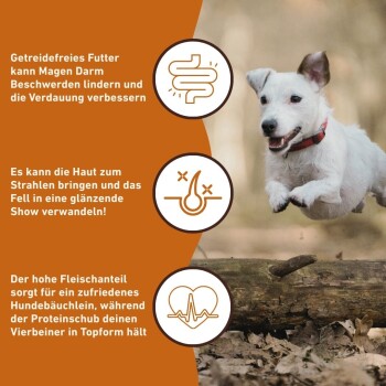 Ein Rottweiler liegt auf dem Gras neben einem Hundefutterbeutel, mit einem Fütterungsempfehlungsdiagramm in deutscher Sprache, das die täglichen Futtermengen basierend auf dem Gewicht des Hundes detailliert.