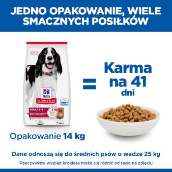 Worek karmy Hill's Science Plan 14 kg z czarno-białym psem obok miski z krokietami; widoczny tekst 'Food for 41 days' i '14 kg'