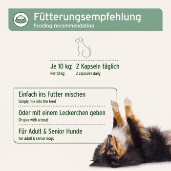 Fütterungsempfehlung: 2 Kapseln pro 10 kg täglich. Mit dem Futter mischen oder als Leckerli geben. Hund liegt auf dem Rücken.